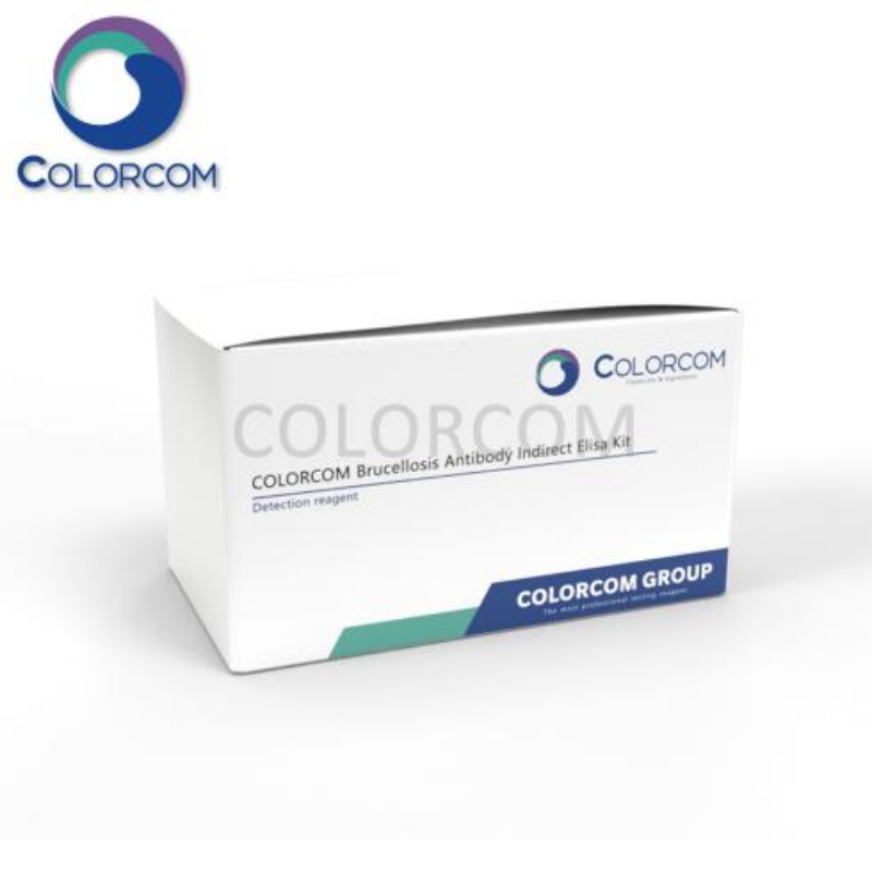 Canine Brucella (C.Brucella) Antibody Test